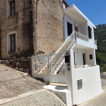 Sa Dommu 'E Su Coro Villa Triei Dış mekan fotoğraf