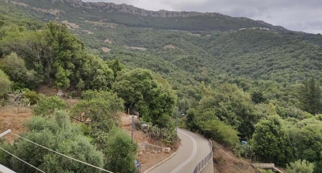 Sa Dommu 'E Su Coro Villa Triei Dış mekan fotoğraf